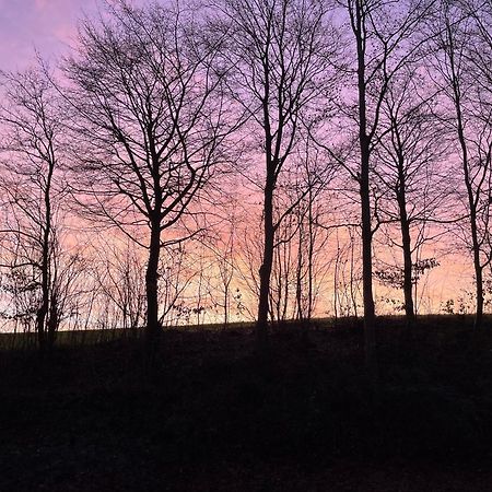La Canopee Des Arbres, Anna Ellezelles Kültér fotó