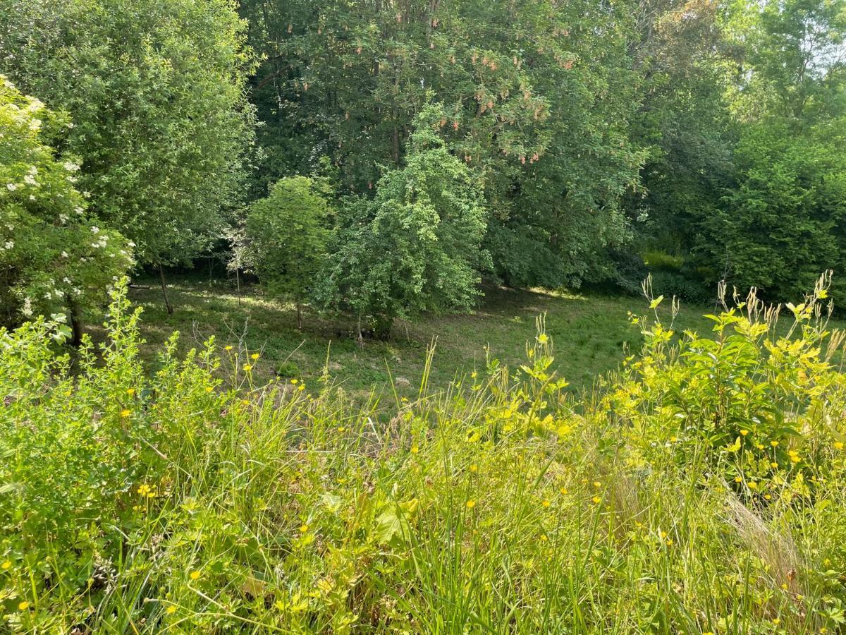 La Canopee Des Arbres, Anna Ellezelles Kültér fotó