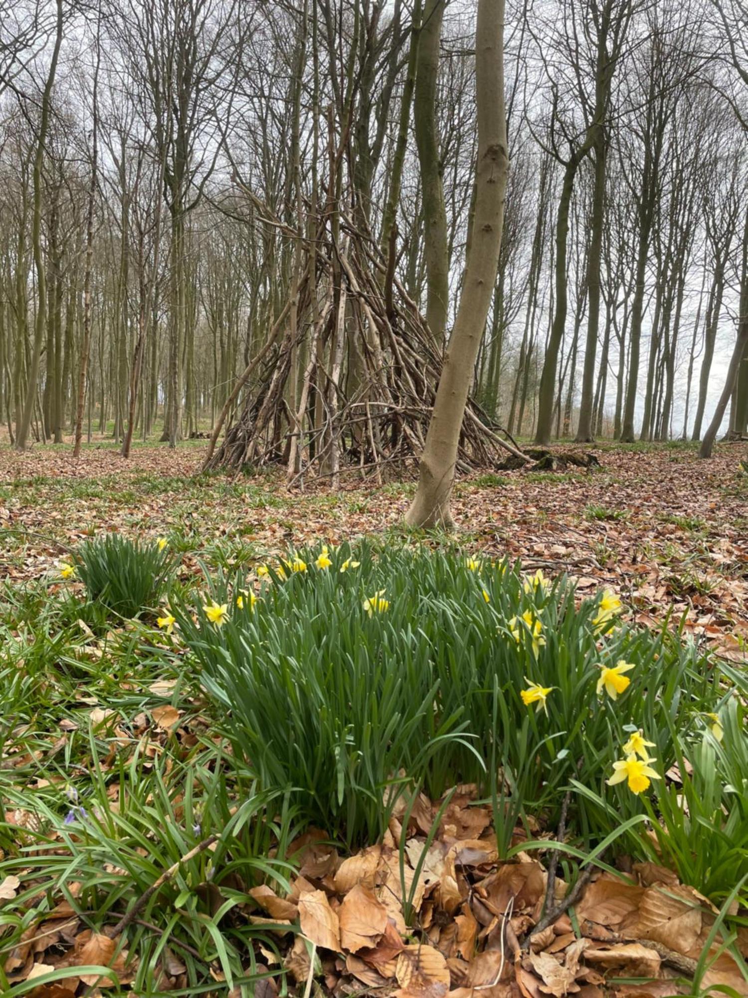 La Canopee Des Arbres, Anna Ellezelles Kültér fotó